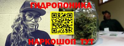 гидропоника Ставрополь