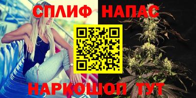 гидропоника Ставрополь