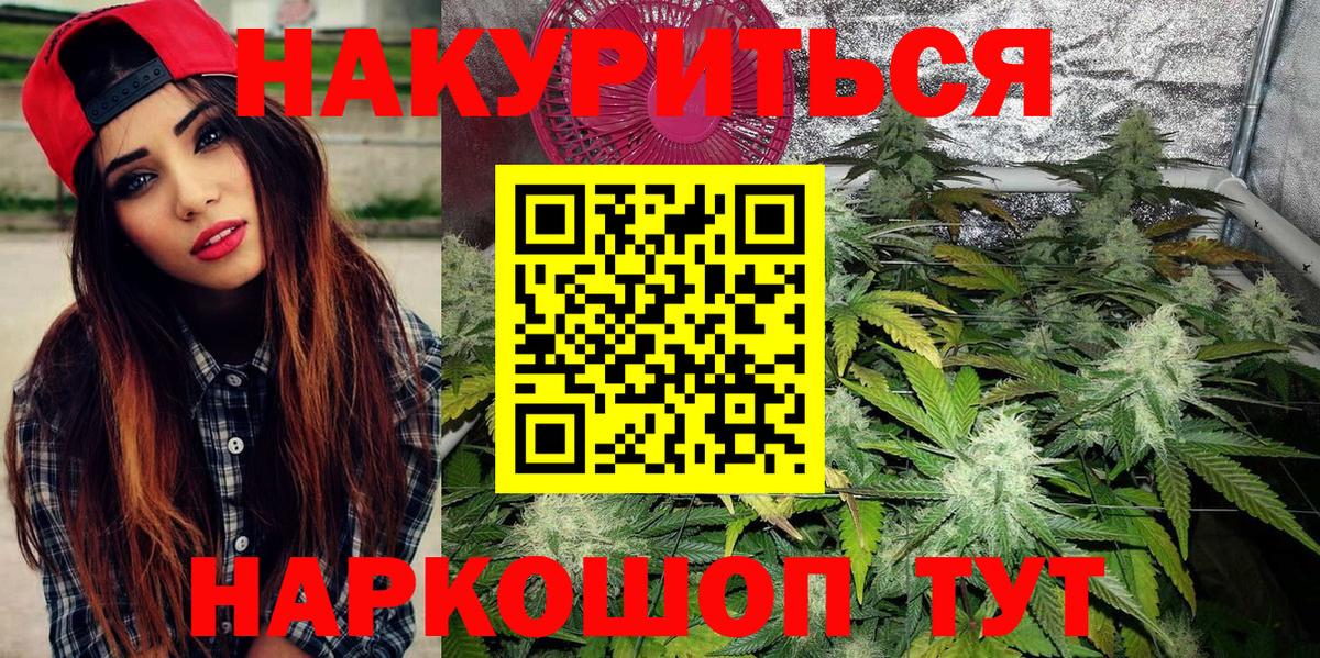 Каннабис планчик  Бошки Шишки Ganja  Шишки марихуана семена  Новокубанск  Вход с VPN 